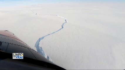 Le plus gros iceberg du monde s'est détaché de la banquise dans le pôle sud