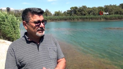 Dünyaca ünlü turizm merkezi Titreyengöl can çekişiyor, balıklar ölüyor