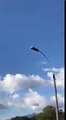 AMAZING UFO SIGHTING IN COSTA RICA  2021 - Observation incroyable d'OVNIS AU COSTA RICA 2021