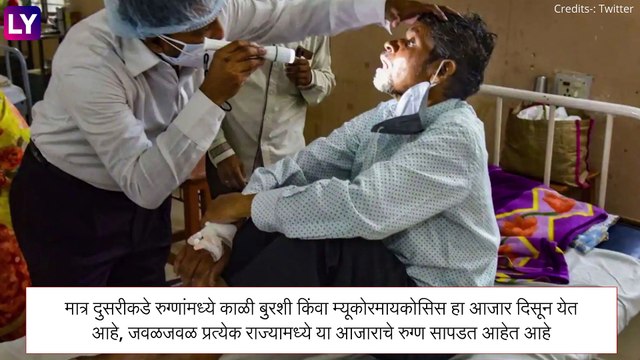 Black Fungus Notified As Epidemic Disease: Mucormycosis ला महामारी घोषित करा; केंद्राचे राज्यांना निर्देश, सर्व प्रकरणांचा अहवाल देण्याच्याही सूचना