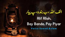 Poetry Alif Allah Bay Banda Pay Piyar By Saeed Aslam | Punjabi Poetry WhatsApp status, Poetry status