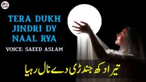 POETRY Tera Dukh Jindri Dy Naal Rya By Saeed Aslam | Punjabi Poetry WhatsApp status | Poetry status
