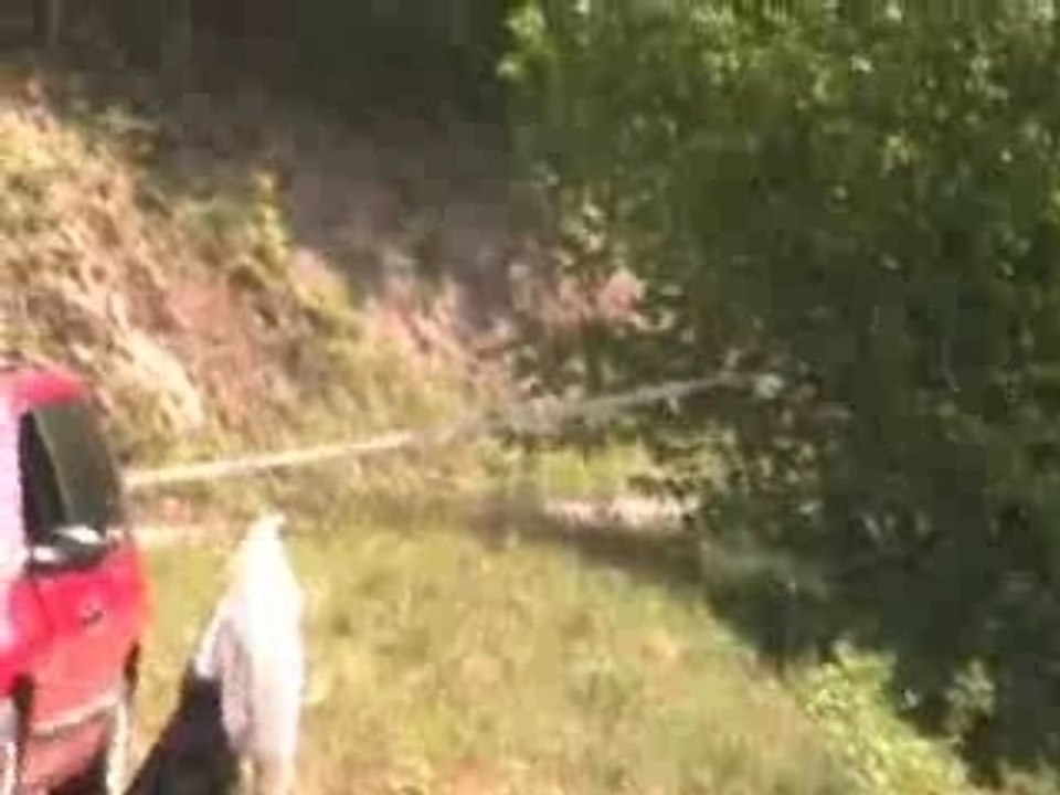 Rallye Plaine et cîmes 2007 groupe F2000