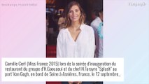 Camille Cerf contrariée - Son voyage en train marqué par une grosse galère : 