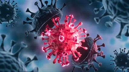 क्या Coronavirus की तरह ही फैलता है Black Fungus? | Boldsky