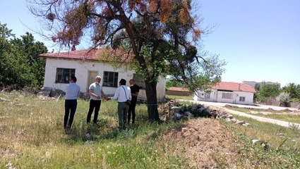 Şehitlerin isimleri ağaçta yaşatılacak