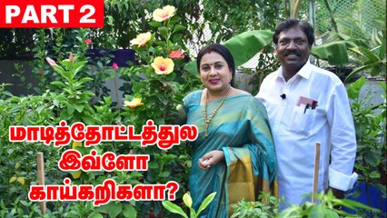 下载视频: PART - 2 - அனிதா குப்புசாமி மாடித்தோட்டம் _ Anitha Kuppusamy Terrace Garden (1)