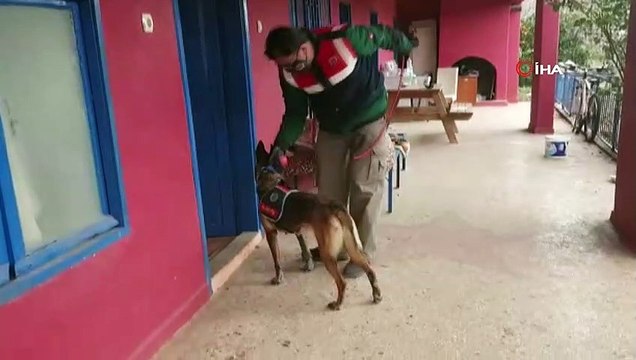 Alanya'da uyuşturucu ticareti yapılan eve baskında 1 kilo 500 gram esrar ele geçirildi