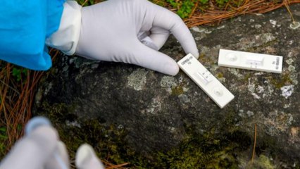 Covid-19 recovered patients share stories of survival