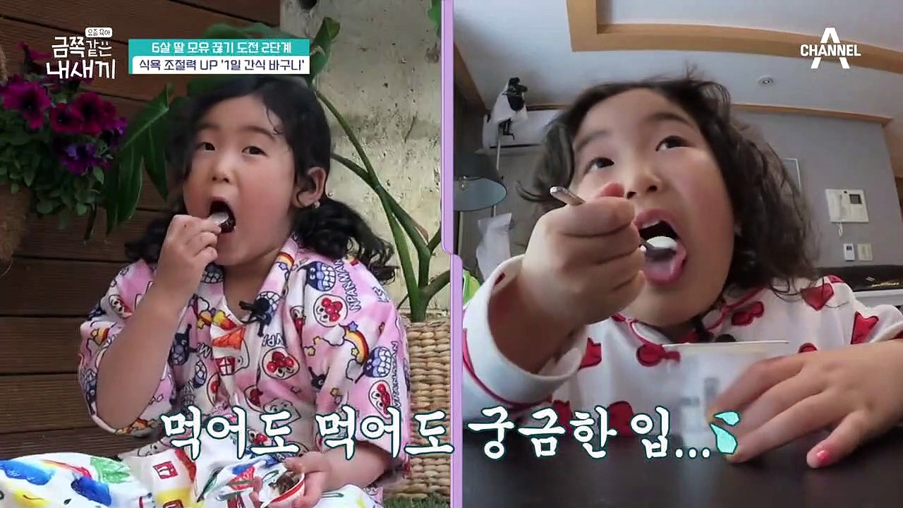모유 끊기 5단계 금쪽 처방♥ 과연 금쪽이는 모유를 끊을 수 있을까?
