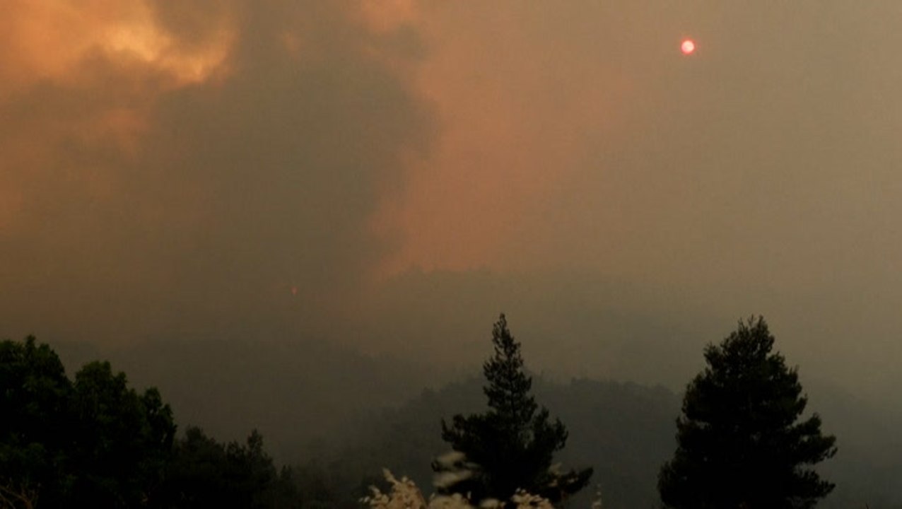 Firefighters battle forest fire in Greece