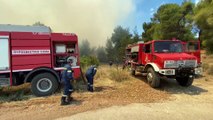 Yunanistan'da çıkan orman yangınını söndürme çalışmaları devam ediyor (1)