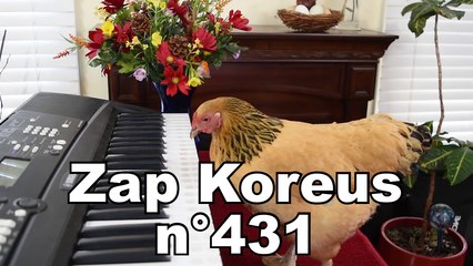 Zap Koreus n°431