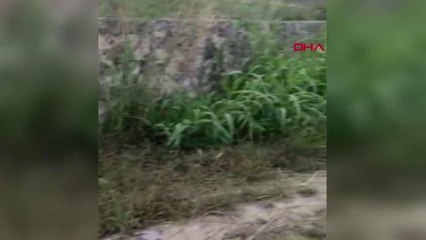 UZMANDAN VATANDAŞLARA 'YILAN' UYARISI