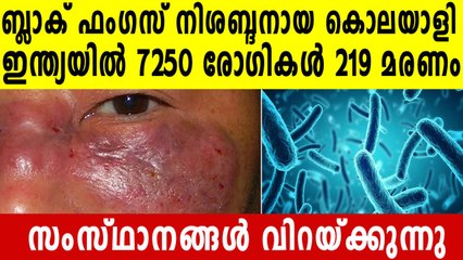 Black fungus: 7,250 infected, 219 dead in India | Oneindia Malayalam