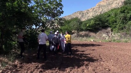 Siirt'te aileler, devlet desteğiyle sağlanan susam tohumlarını toprakla buluşturdu