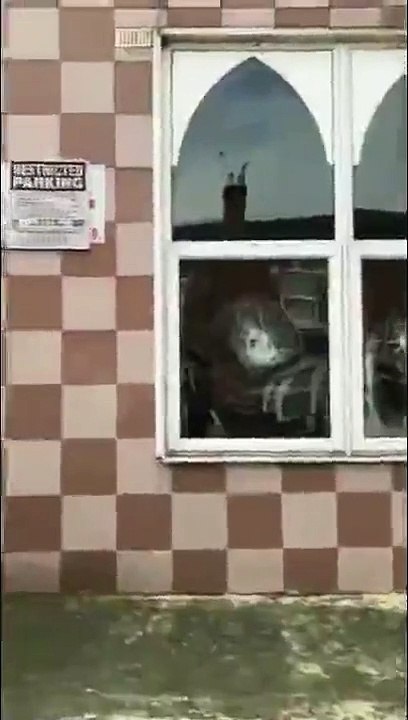 İngiltere'de saldırıya uğrayan camiden görüntüler