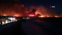 - Yunanistan'daki orman yangını 40 bin dönümden fazla alanı küle çevirdi- Yangına müdahale 3. günde devam ediyor