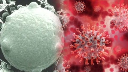 ನಿಮ್ಮ ಖಾಸಗಿ ಅಂಗಾಂಗಗಳ ಮೇಲೆ ಟಾರ್ಗೆಟ್ ಮಾಡುತ್ತೆ White Fungus!! | Oneindia Kannada