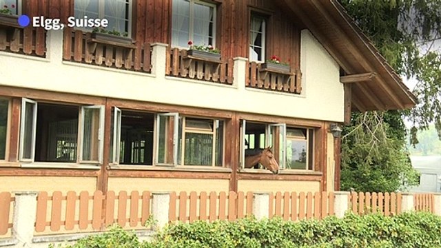 Equitation: des JO au goût amer pour le cavalier suisse Steve Guerdat