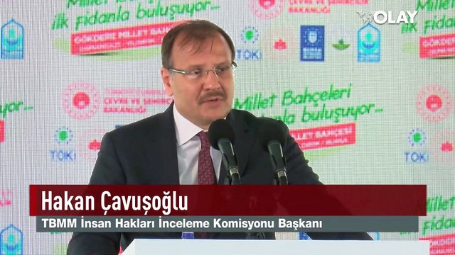 Gökdere Millet Bahçesi'ne ilk fidan dikildi...