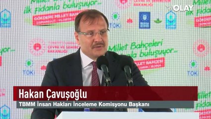 Gökdere Millet Bahçesi'ne ilk fidan dikildi...