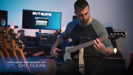 Présentation de l'Ampeg  SVT Suite