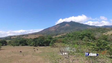 7 Días: Parques de papel-170619