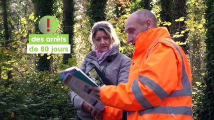 FIBOIS - Santé et securité au travail