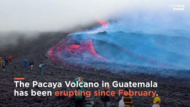 Looking for the perfect crunch on your pizza? This chef’s lava-fired pizza has got you covered