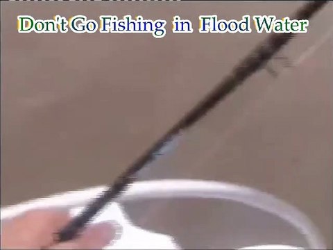 Regardez qui vient voler la prise de ce pecheur... Monstrueux