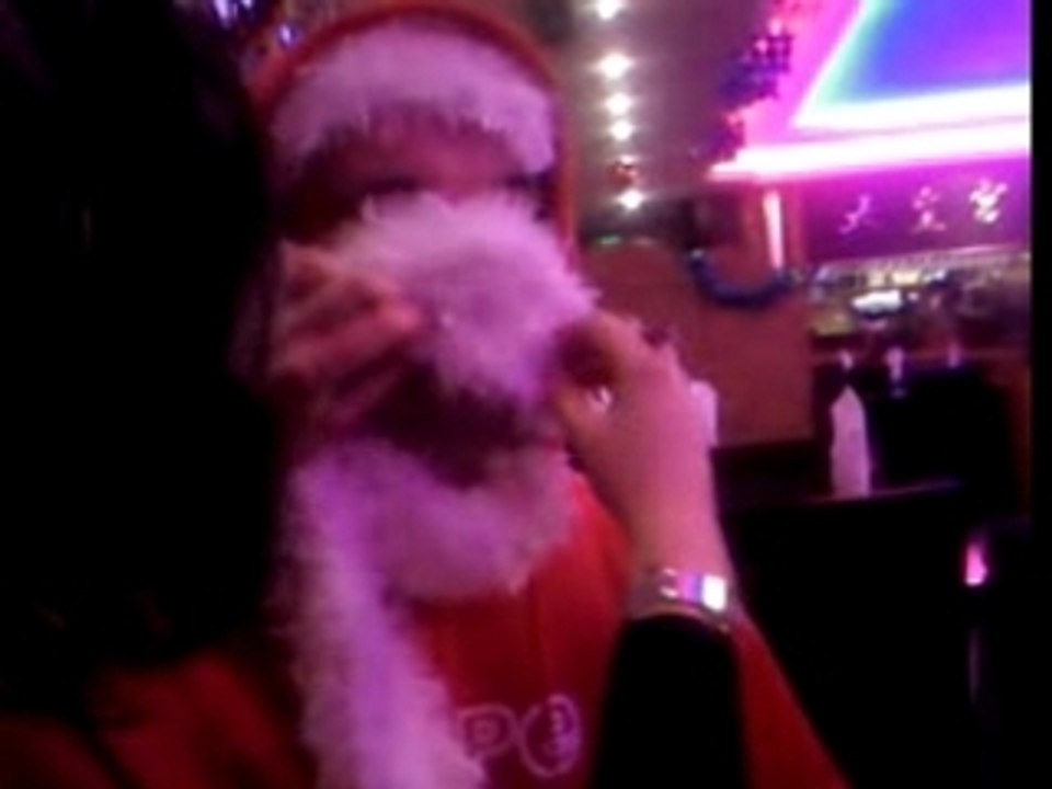 Papa noël