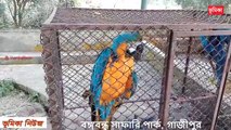 বঙ্গবন্ধু সাফারি পার্ক গাজীপুর _ Bongobondhu safari park Gazipur in Bangladesh _ Bongobondhu park