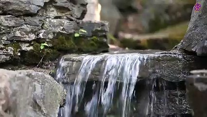 Download Video: 15 Minute Peaceful Music for Stress Relief | Waterfall | Self-love | Self-Esteem | Anxiety Relief | Meditation | Calming | Soothing | Healing | Relaxing | Focus | Sleep | Study