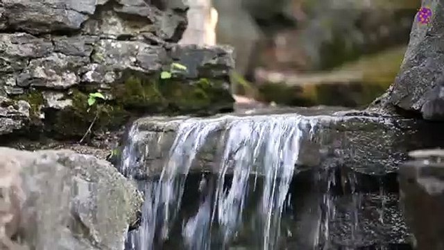 15 Minute Peaceful Music for Stress Relief | Waterfall | Self-love | Self-Esteem | Anxiety Relief | Meditation | Calming | Soothing | Healing | Relaxing | Focus | Sleep | Study