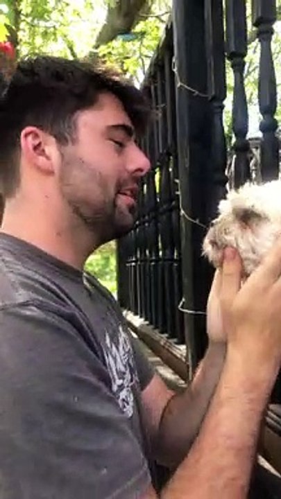 Little Buddy Gets Head Caught in Railing