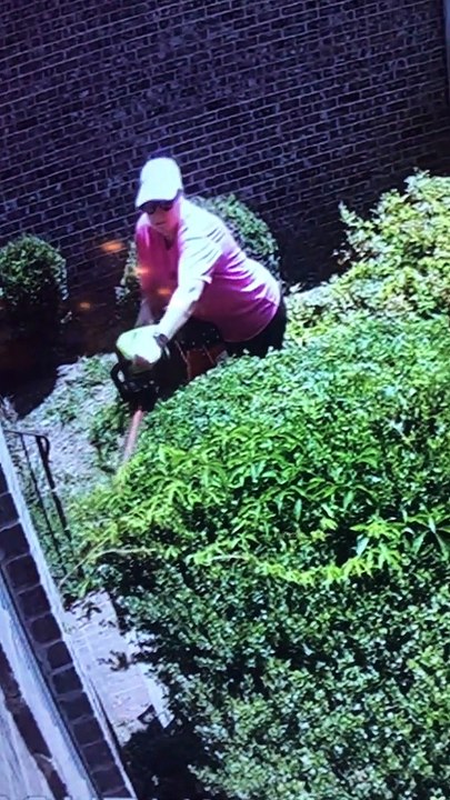 Snake Bites Woman as She Trims Shrubs