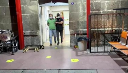 İzmir'de FETÖ'nün 'gaybubet evlerine' yönelik operasyonda 15 tutuklama