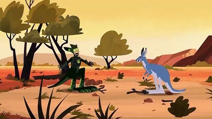 Les Frères Kratt Créatures Volantes et Ailées