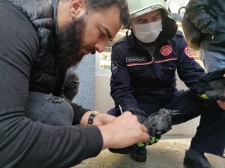 Son dakika haberleri: SİLİVRİ'DE AYAĞINA İP VE POŞET DOLANAN KARGAYI İTFAİYE KURTARDI