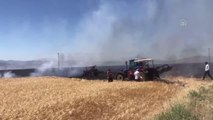 Arpa ve buğday ekili tarlada çıkan yangında yaklaşık 100 dönüm alan zarar gördü