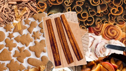 Everything You Need To Know About Cinnamon