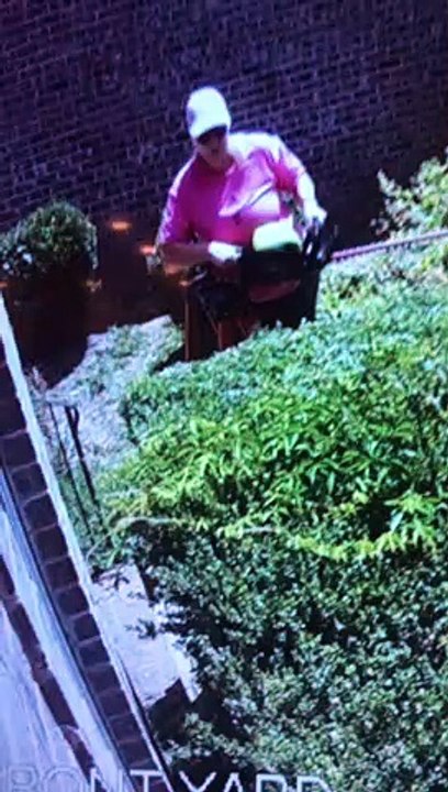 Snake Bites Woman as She Trims Shrubs