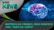 Ao Vivo | Mistérios do cérebro: dedo robótico vira “parte do corpo” | 21/05/2021 | #OlharDigital