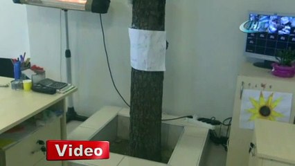 Bu binanın içindekini görenler hayrete düşüyor