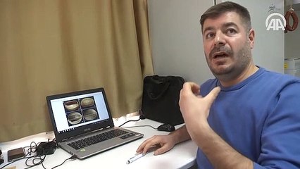 Böcek zırhından zayıflama hapı yaptılar