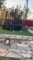 Kid Kicks Ball While Jumping on Trampoline and Shoots it Inside Basket Kept on the Ground