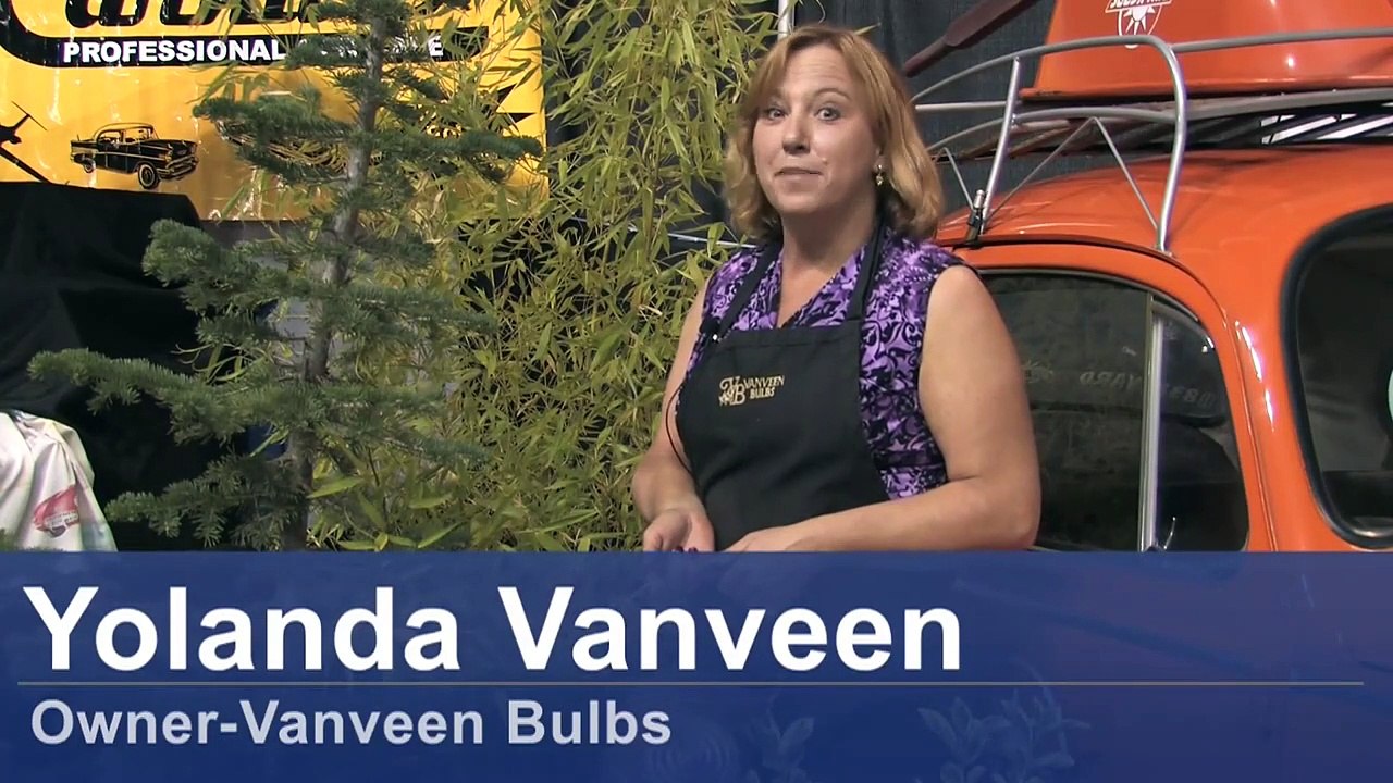 Minecraft: Full-Auto Sugar Cane Farm Tutorial (1.13)