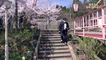 バラエティー 動画 まとめ - バラエティ 動画 japan - ドキュメント７２時間 動画　9tsu　2021年05月21日