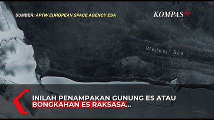 Penampakan Gunung Es Terbesar di Dunia Pecah dan Hanyut di Antartika